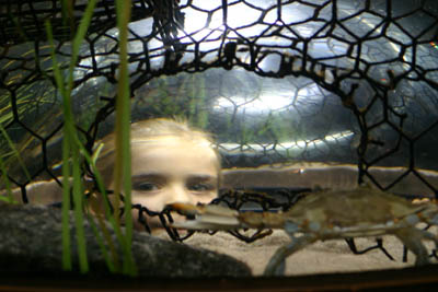 Girl in Aquarium